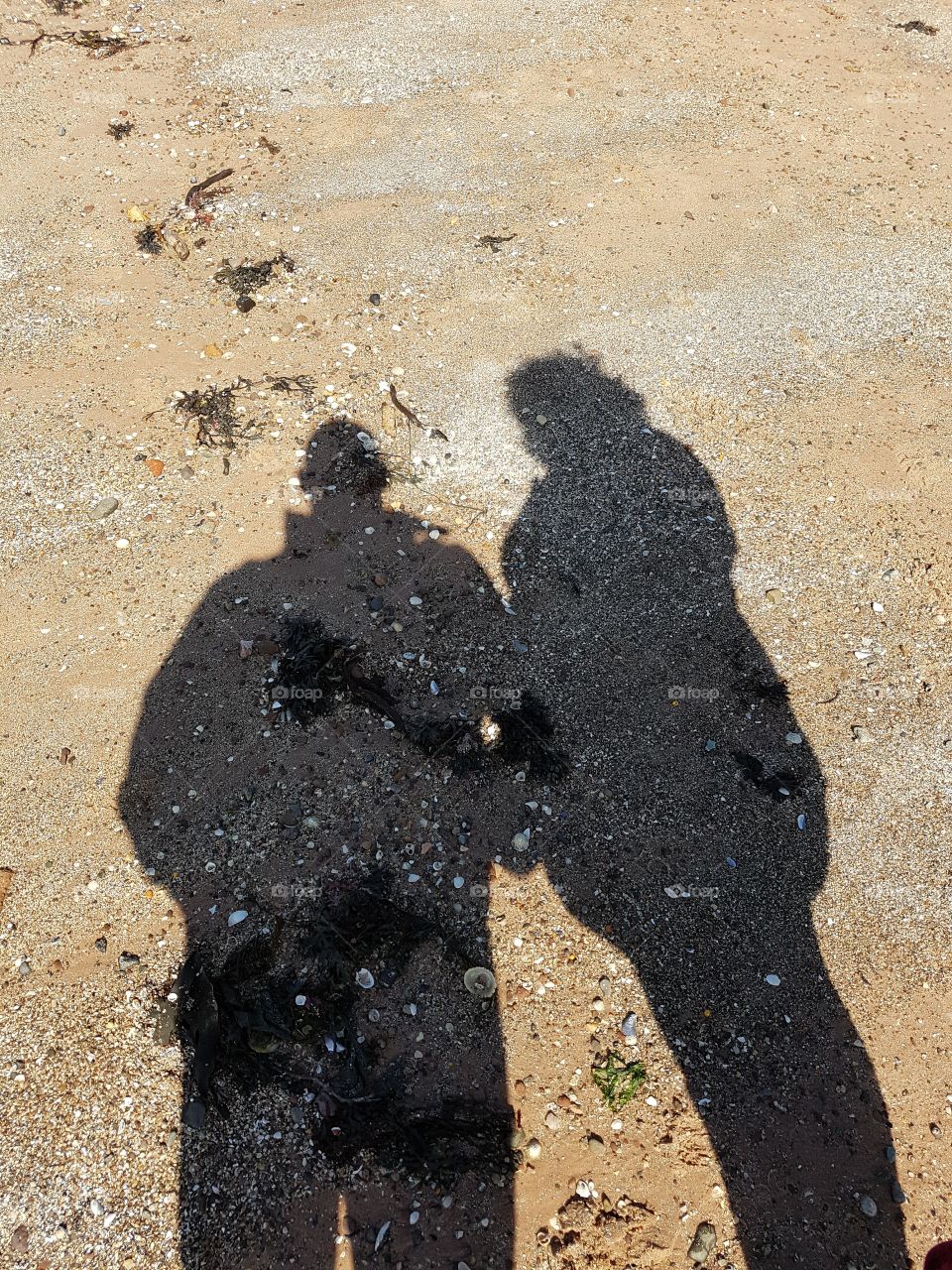 Shadows on the beach.