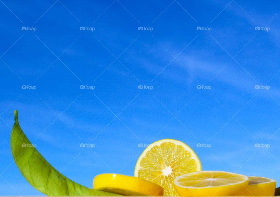 Slices of lemon with green leaves in dayligh