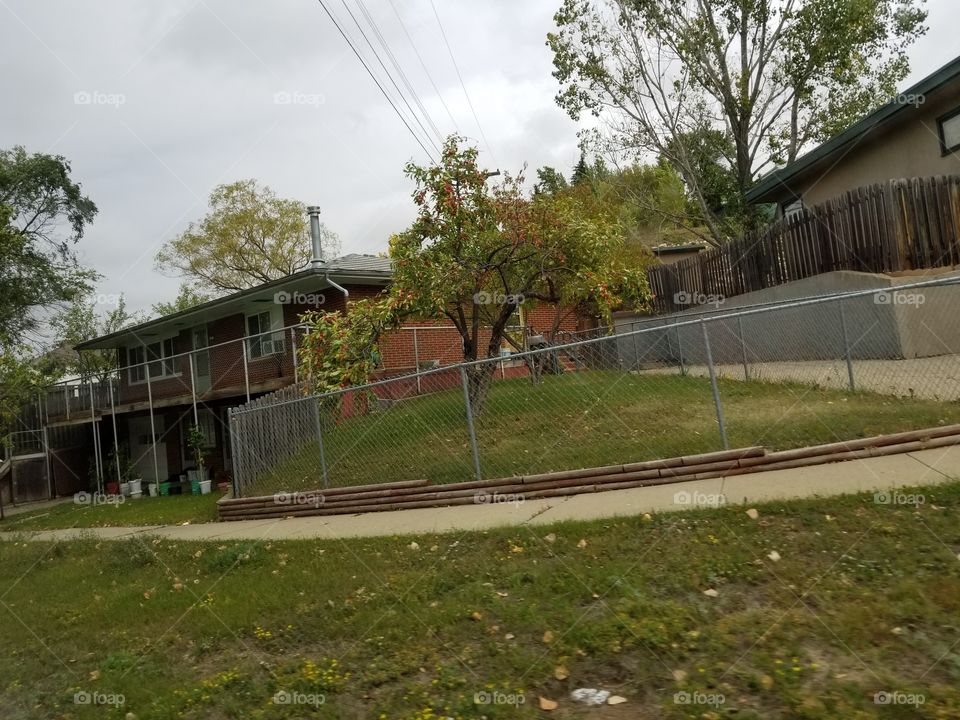 Building, Road, Fence, No Person, Tree