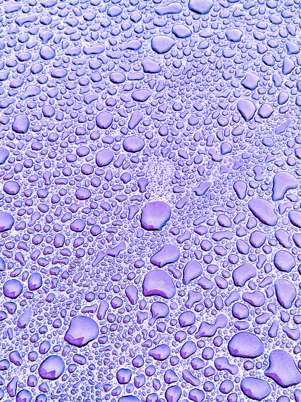 Purple Rain Drops Texture