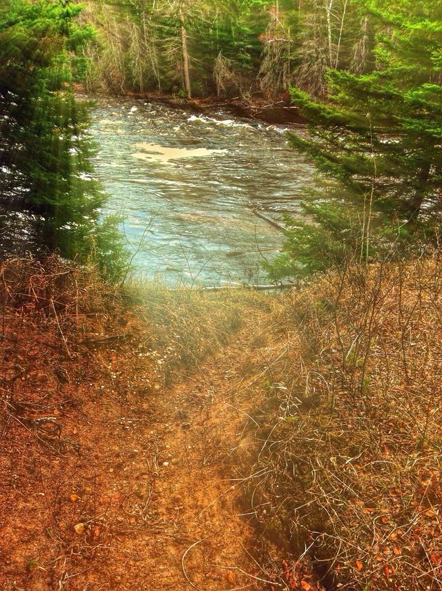 Trail To The Rapids
