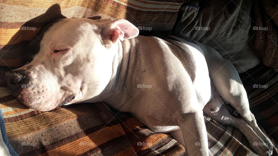 don't disturb, I'm sleepping