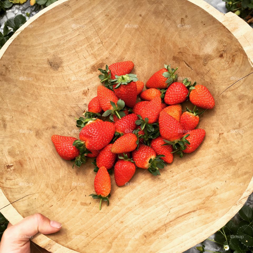 Just picked Strawberries 