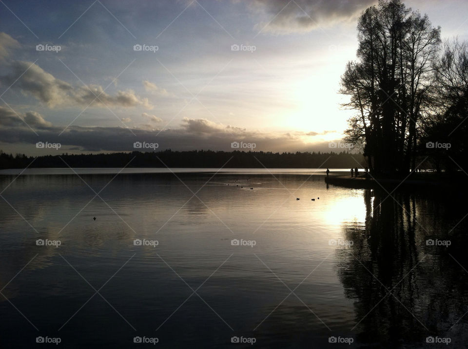 serene lake scene reflection dark landscape light by michaek_bdtkr