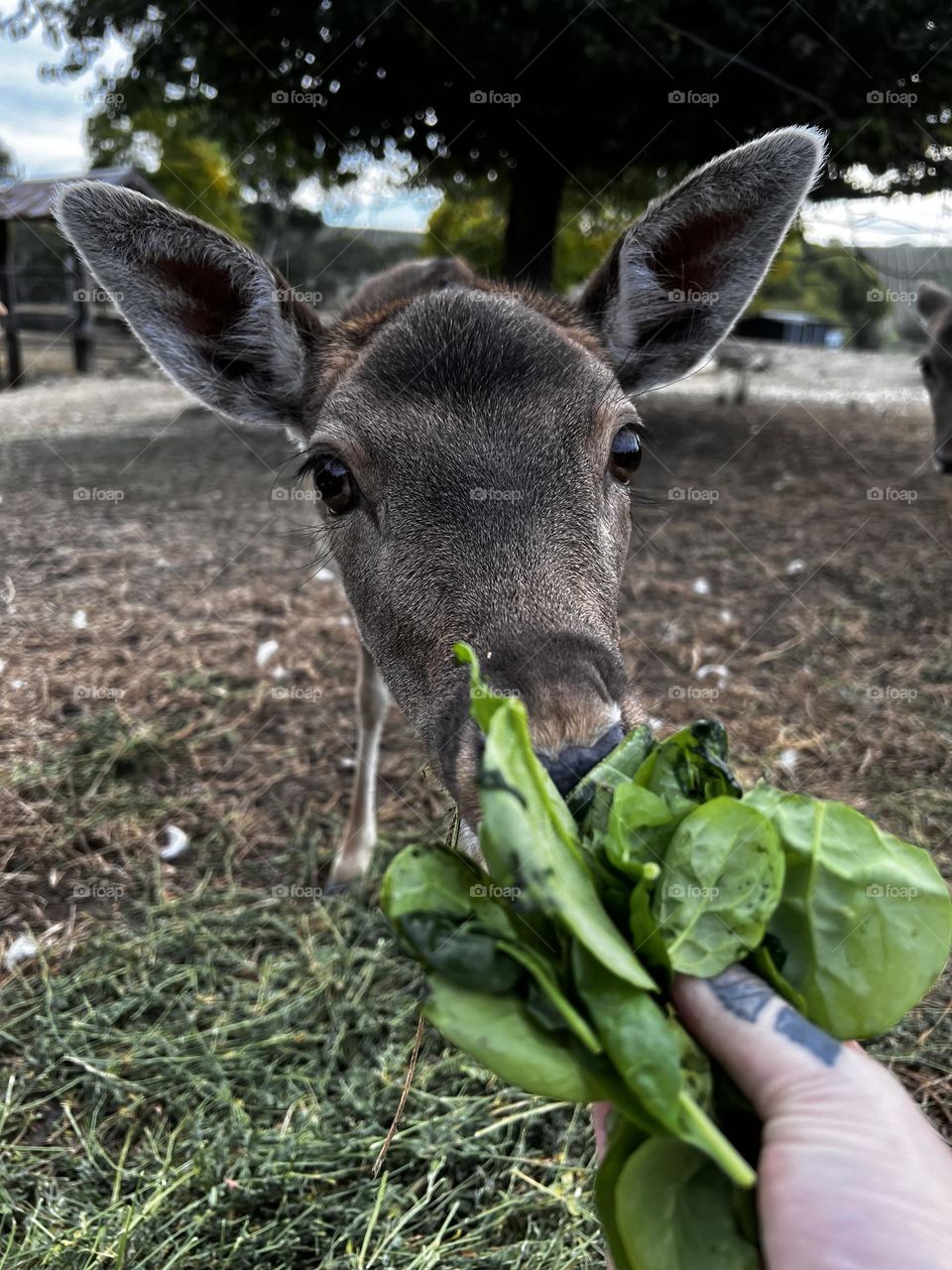 It’s feeding time! 