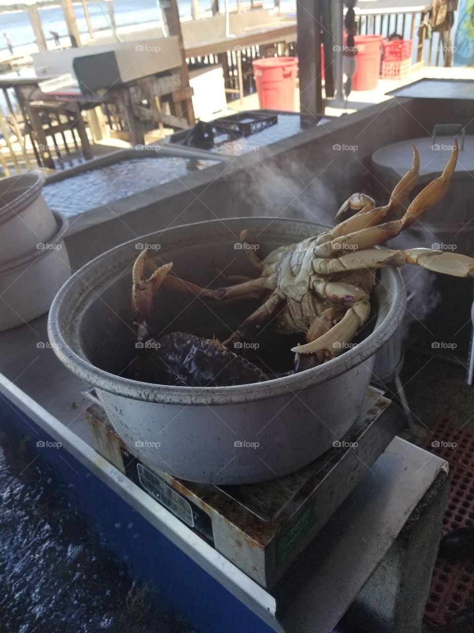 crab cooking pot