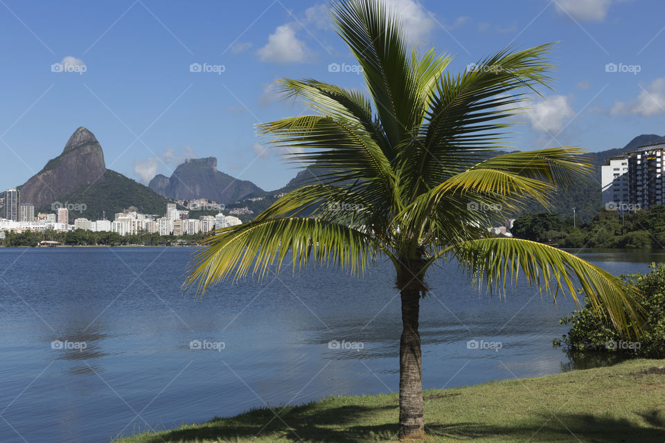 Rodrigo de Freitas Lagoon in Rio de Janeiro Brazil.