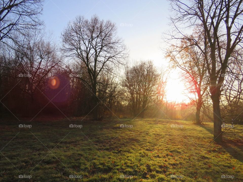Die Sonne in der dunklen Jahreszeit