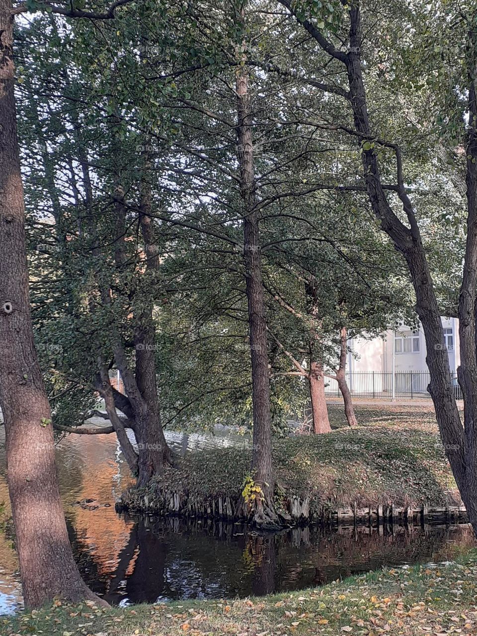 Māras diķis. Agenskalns. Rīga.