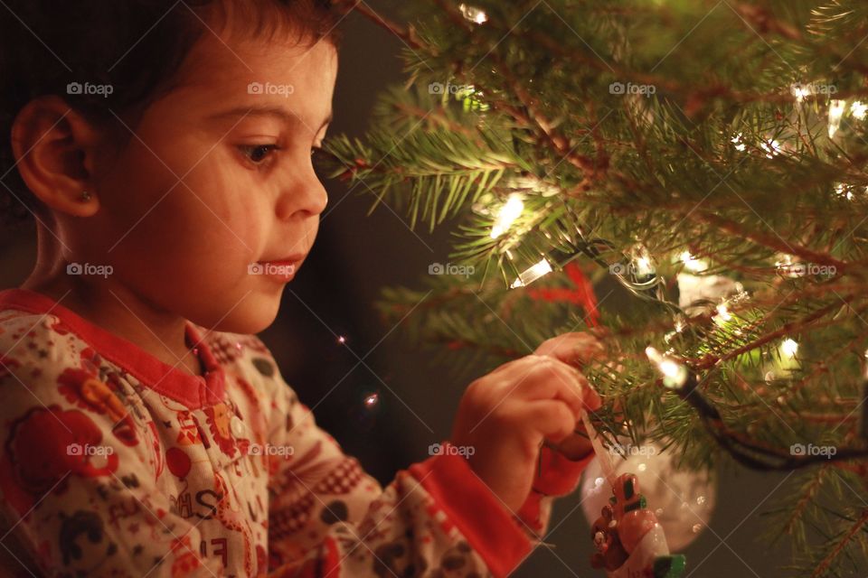Christmas, Winter, Christmas Tree, Celebration, Decoration
