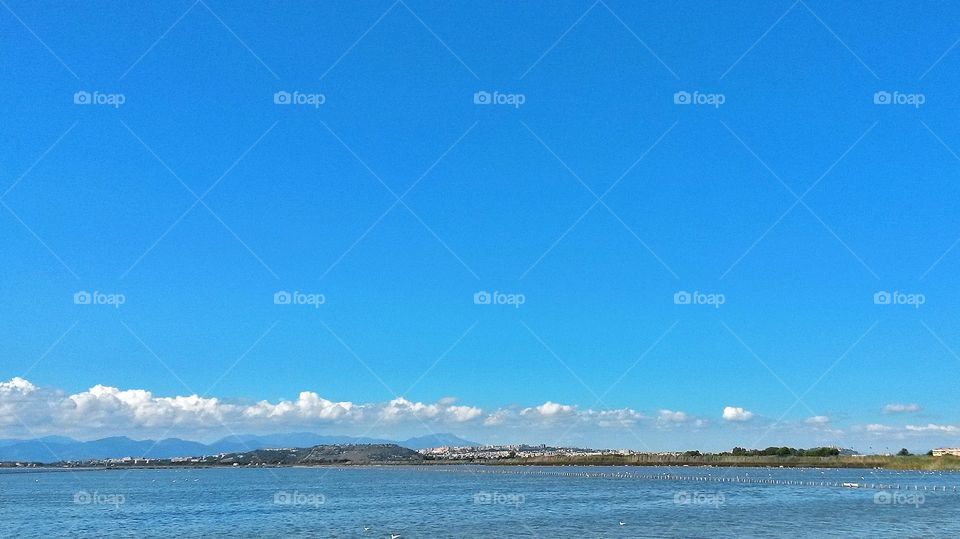 Molentargius pond. Q