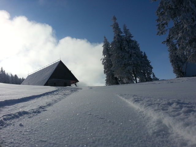Winter dream