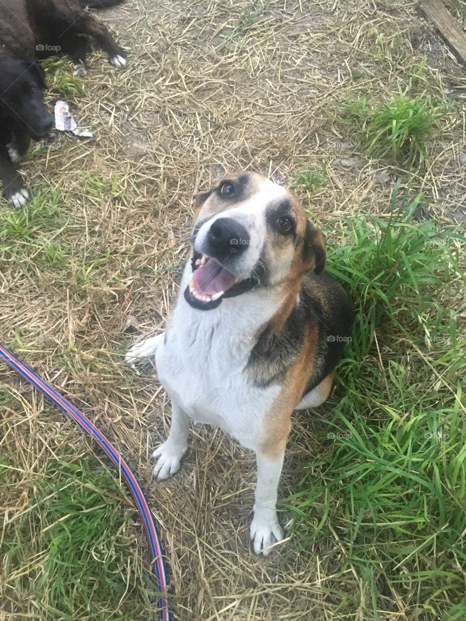 Jugando alegremente en verano