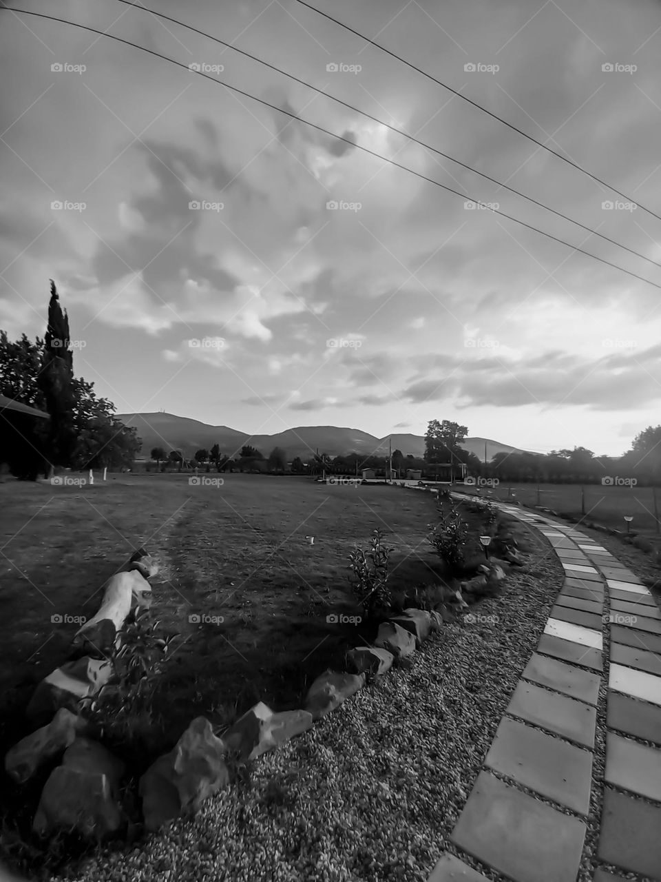 Landscape in black and white