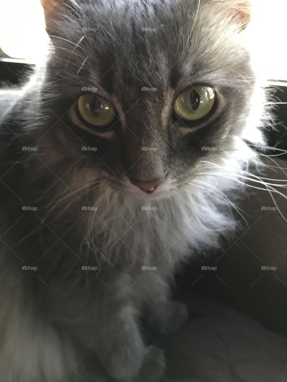 Ah do you always have to stick the lens up close to me ! 