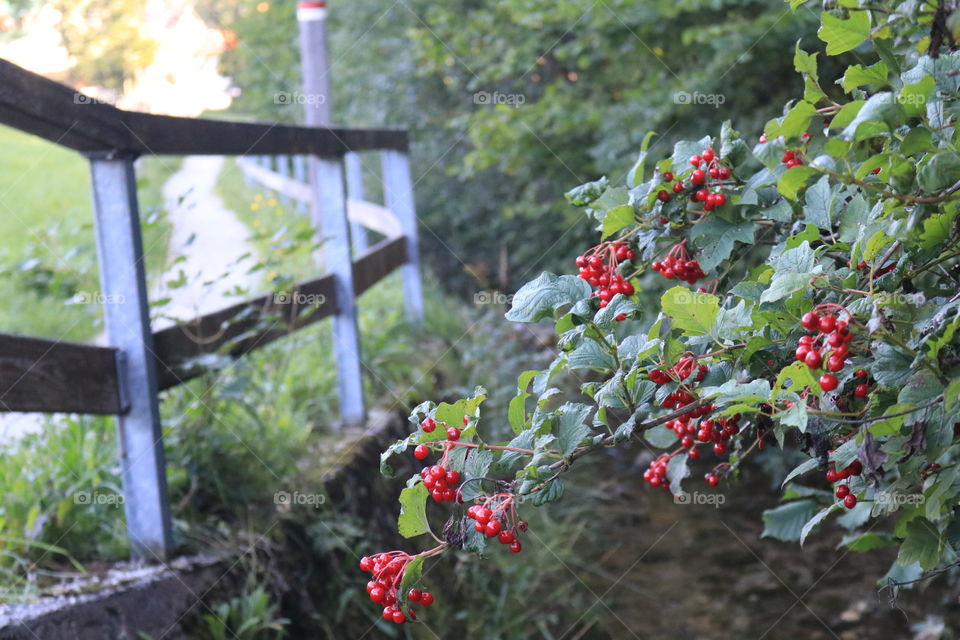 Had an amazing walk in the nature !