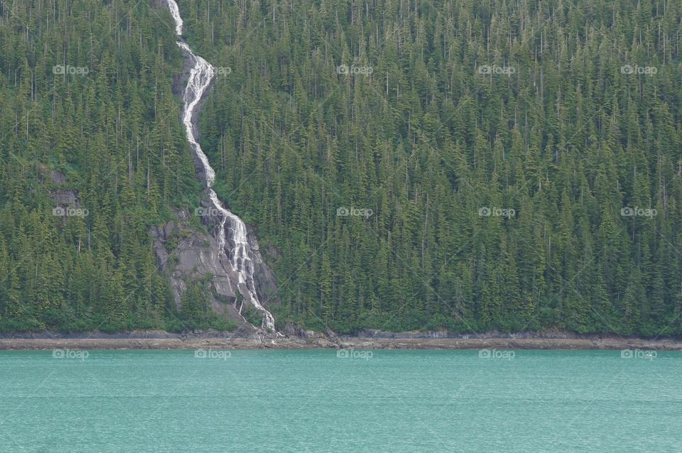 Glacier ice melt crests a river through the forest and flows into the sea.  The melting glacier wayer turns the sea green.