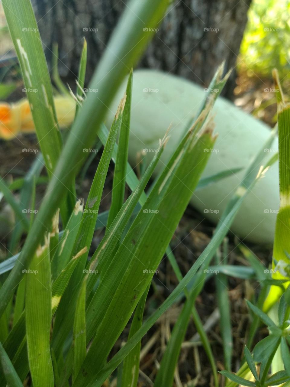 Editor's Choice - Photo of the Week