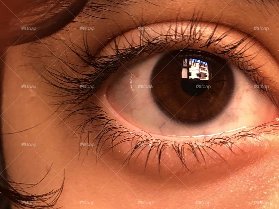 Beautiful human eye looking at camera