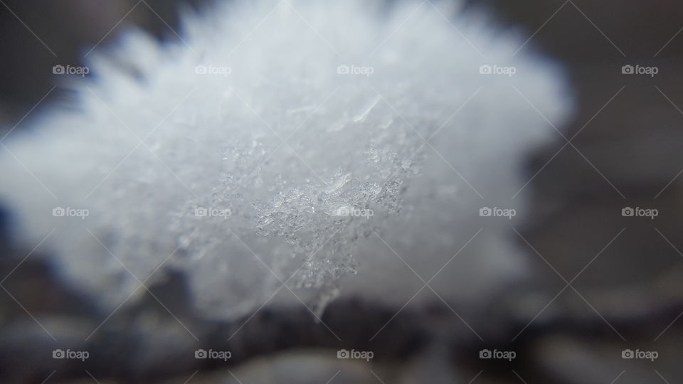 snow crystal