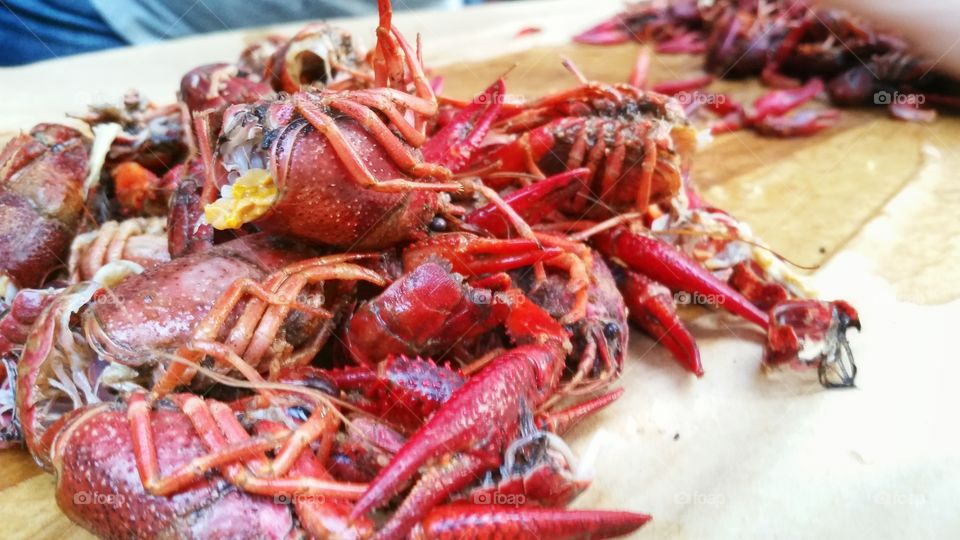 Crawford Boil. the murder of hundreds of innocent crafts for the enjoyment of humans