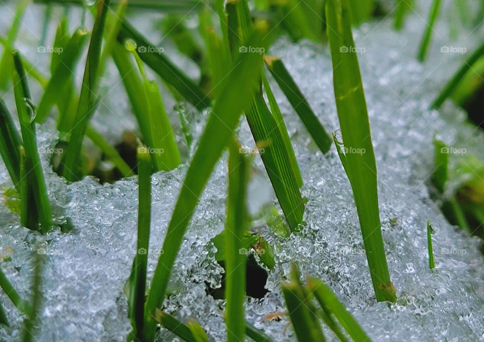 April Snow showers