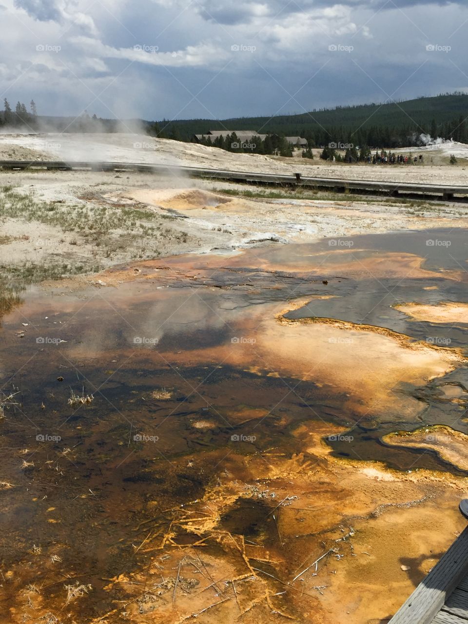 Yellowstone national park 