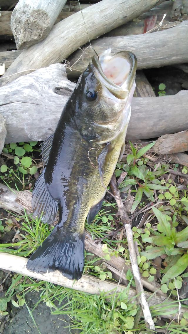 Love fishing