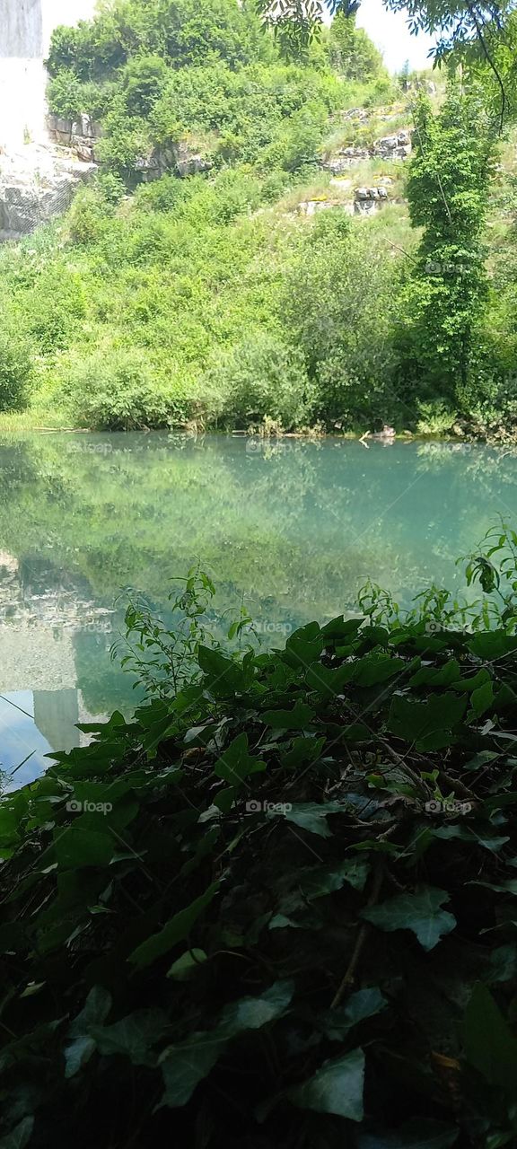 the green river running through the Forrest