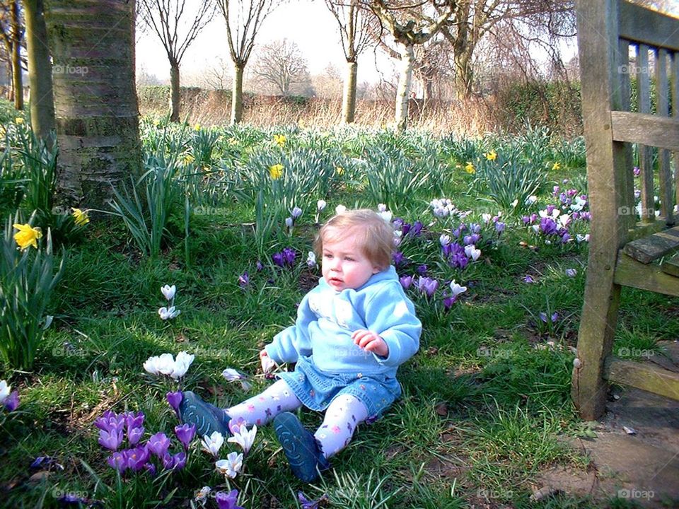 Spring Flowers 