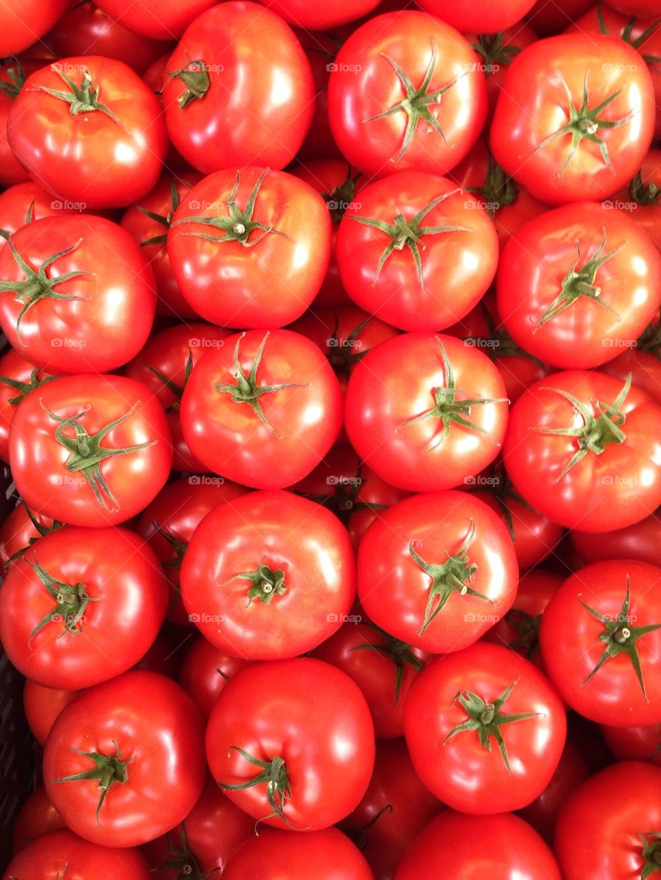 Full frame shot of tomatoes