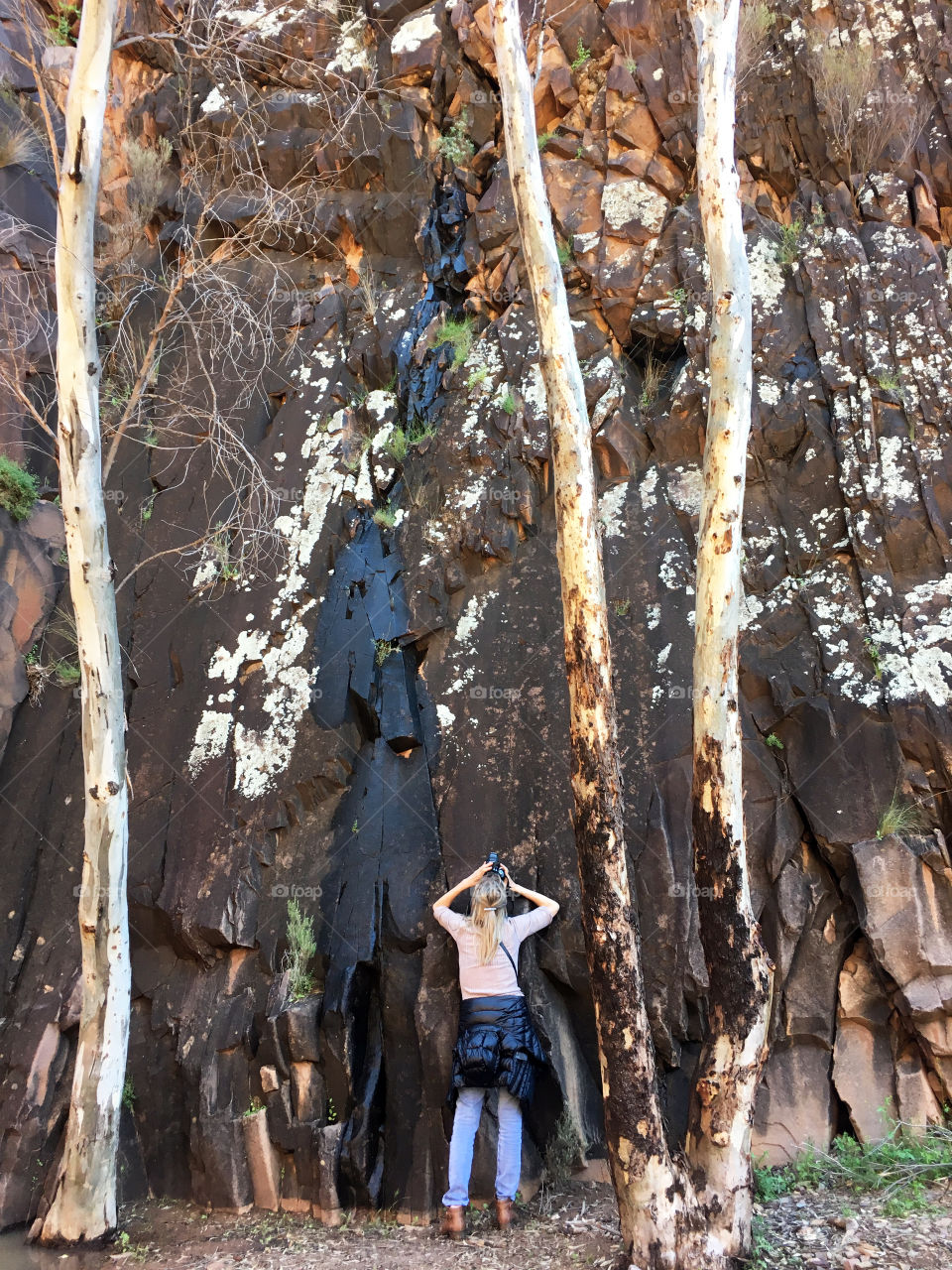 Woman (me) Photographing for FOAP ancient aboriginal sandstone wall engravings  by the Adnyamathanha people, in Sacred Canyon in the Flinders Ranges of South Australia, near Wilpena pound; 