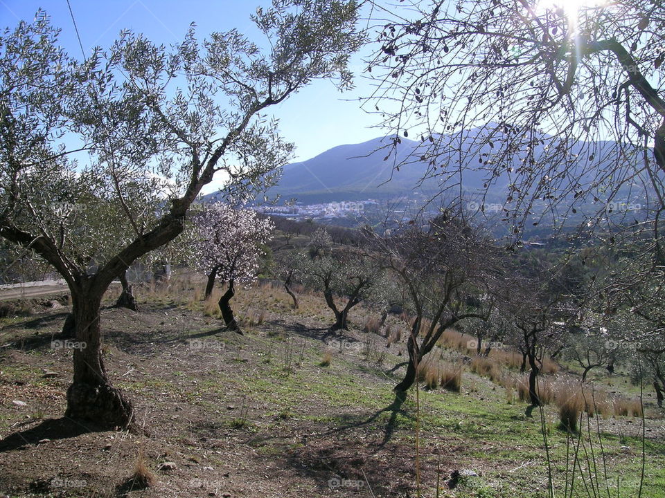 hiking