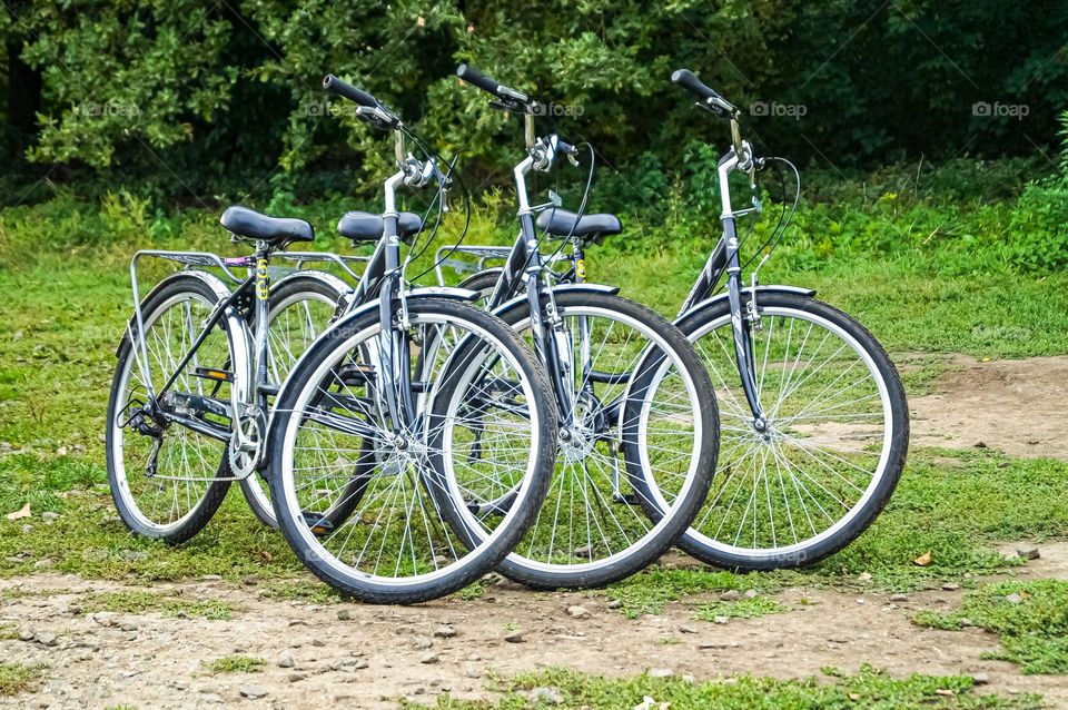 Beautiful bicycles