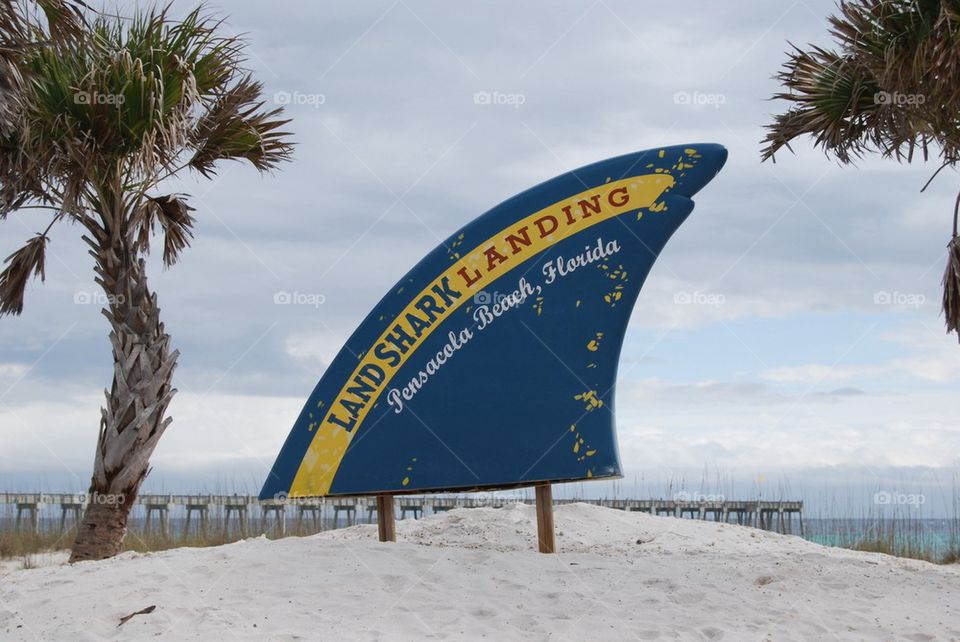 Landshark sign beach sand