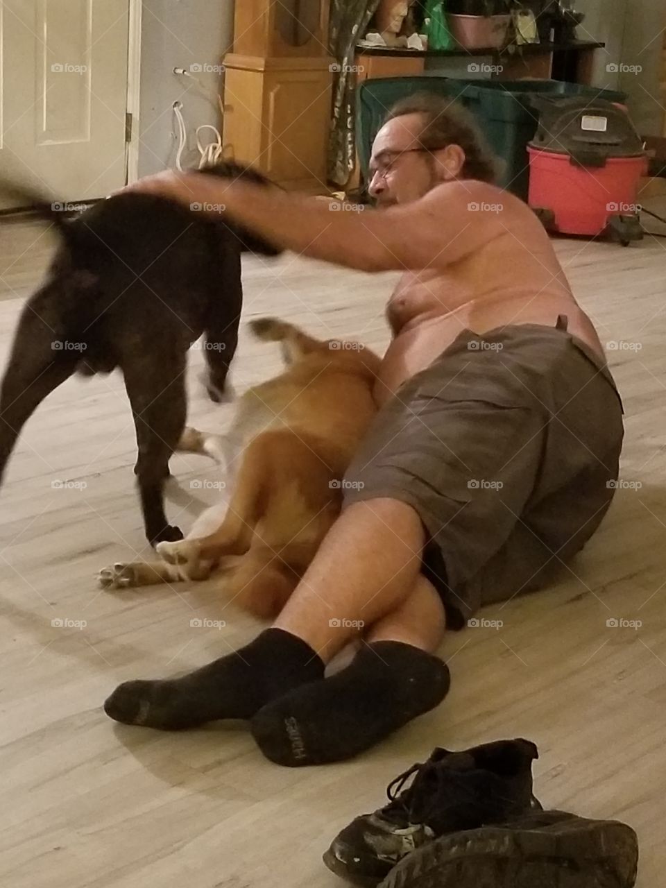 playing with the dogs