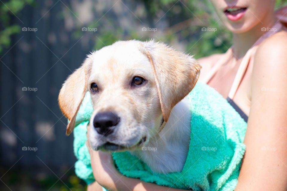 A young woman holding a dog