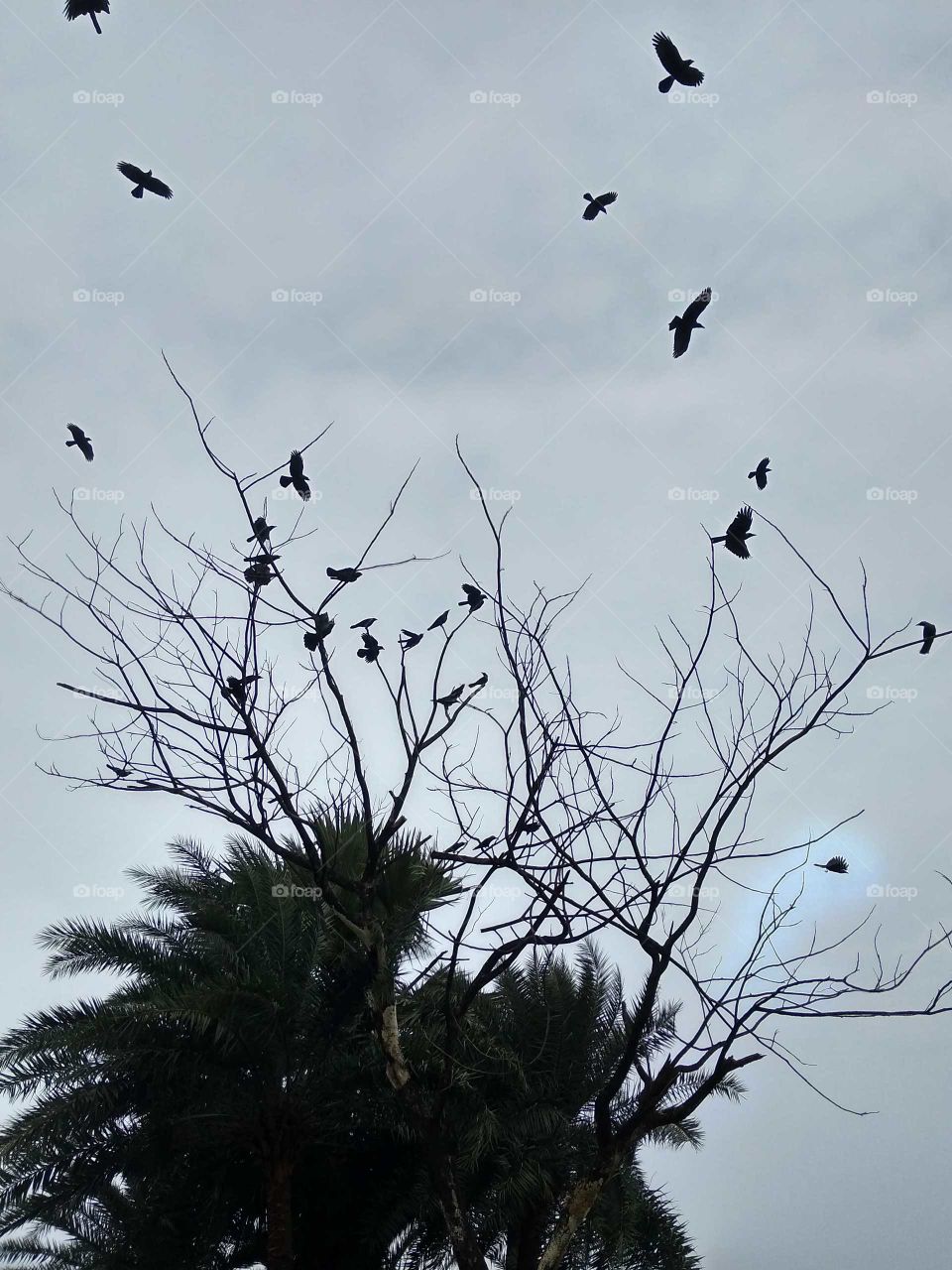 beautiful nature in nature