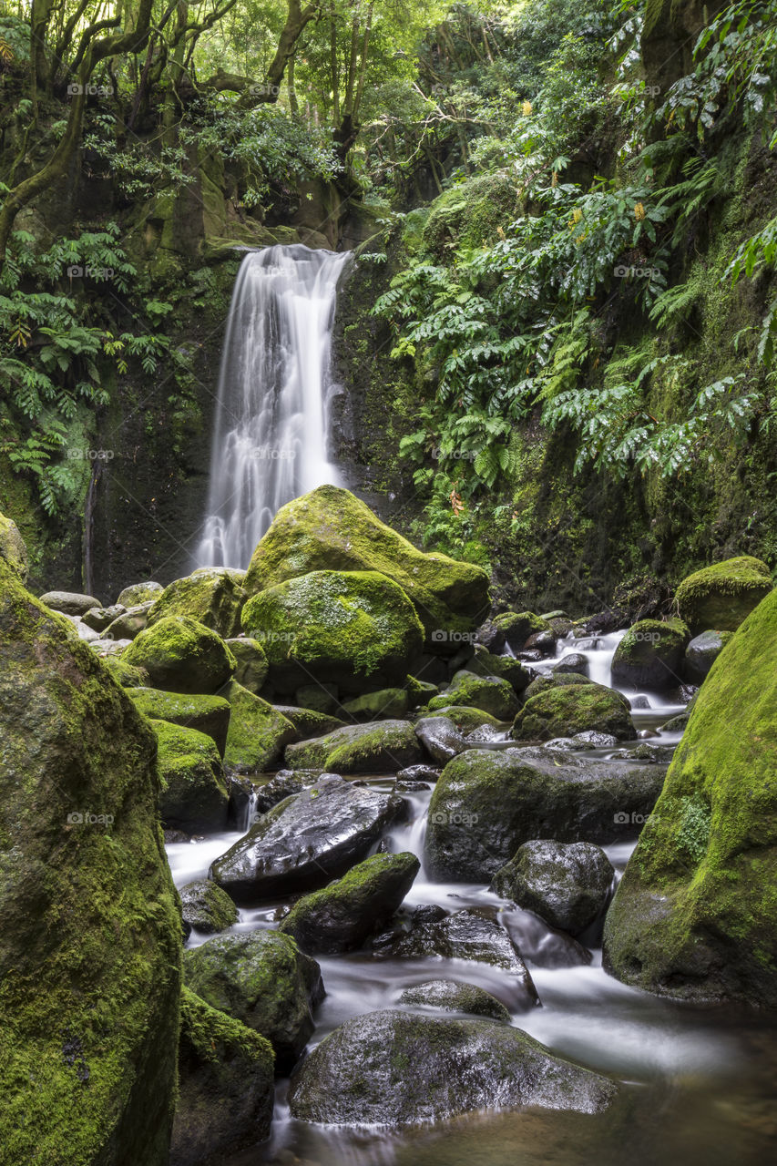 Salto do prego, Sao Miguel, Azores, Portugal