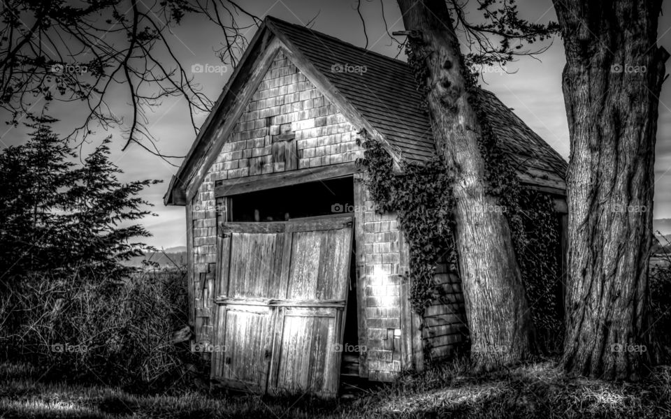 Shack. Spooky version of an old shack. 