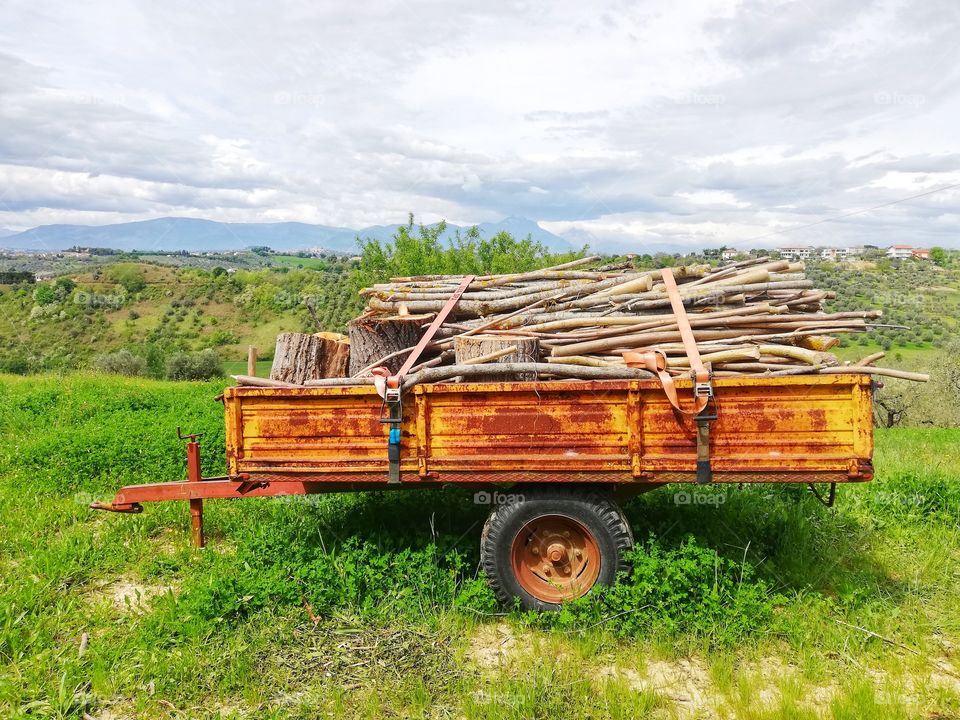 trailer with firewood inside in a countryside landscape