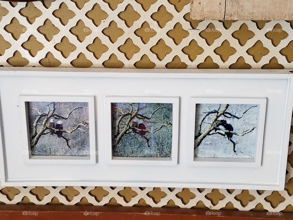 Love on Valentine's day