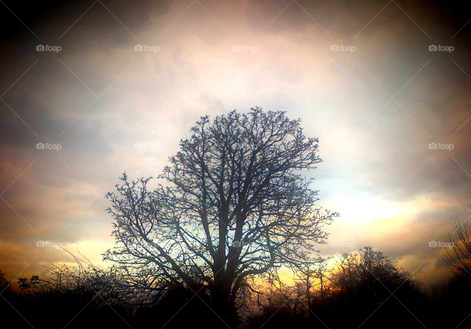 Winter sunset, Penton Hook, Surrey, England