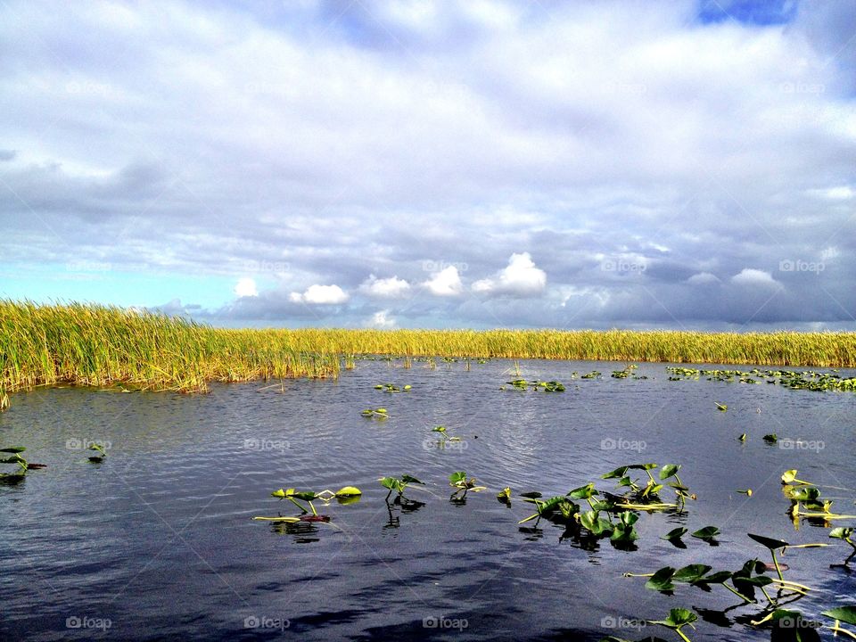 Everglades