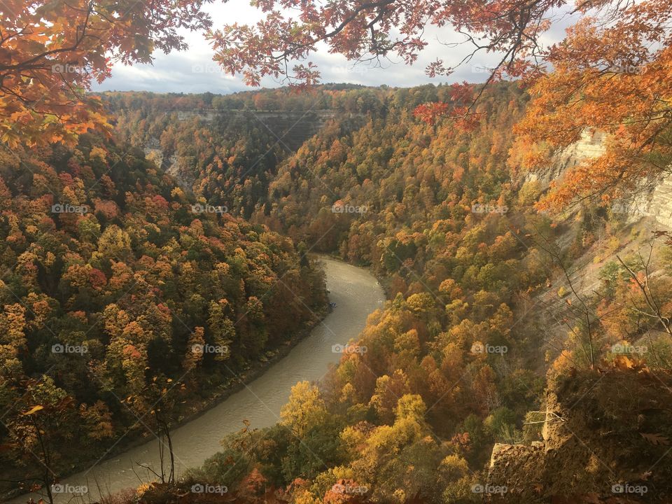 Genesee River, Letchworth State Park, NY