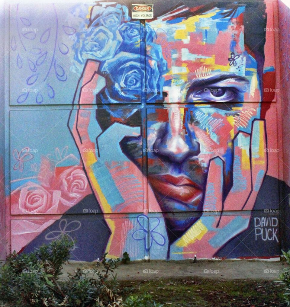 architectural graffiti, artwork presented on the side of a building on R Street in Sacramento California