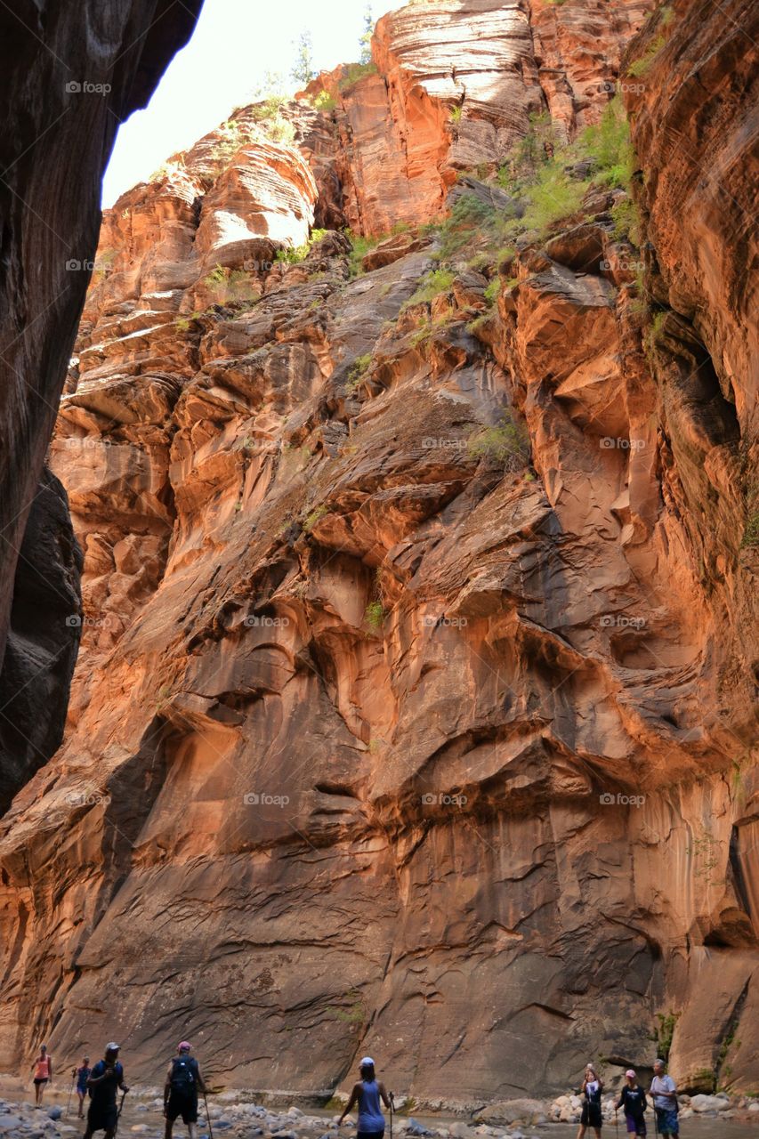 Zion Narrows 