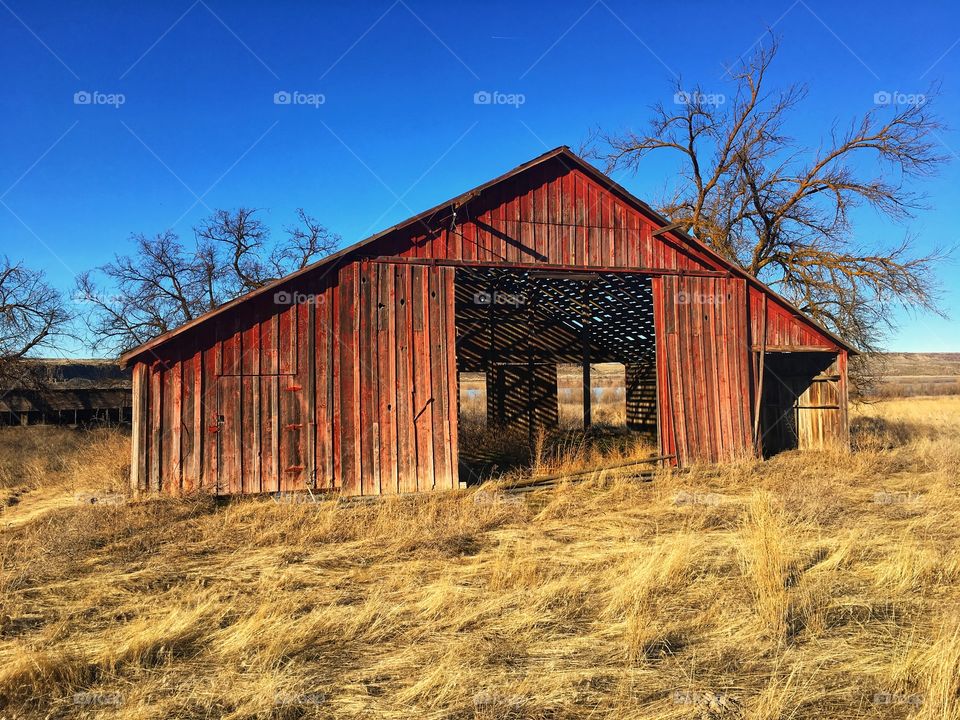 Old Abandoned Barn in Eastern Washington Farm Country