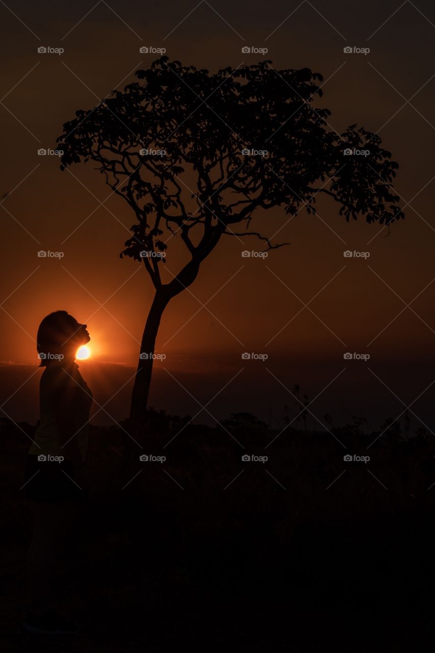 Brazil savana sunset