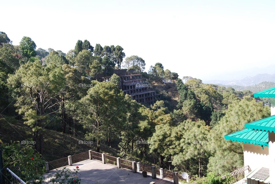 Kasauli